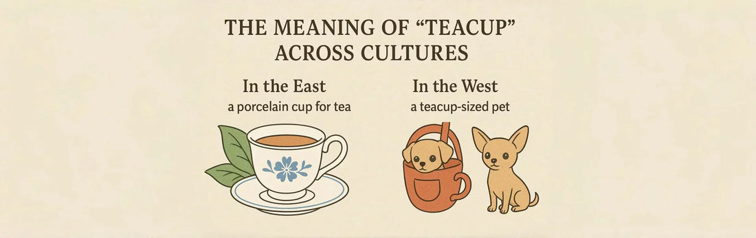 Teacup used in Asian tea rituals and modern Western mugs representing global tea drinking culture